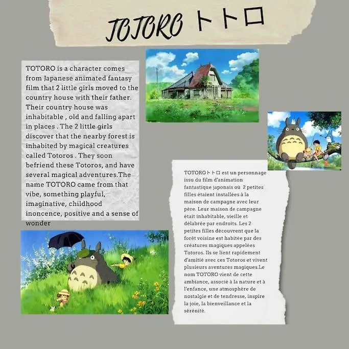 Appart Totoro @ Free Parking/Wifi/Draps Thiers